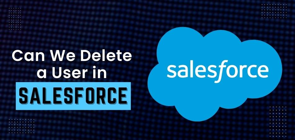 Can We Delete a User in Salesforce?