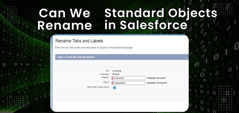 Can We Rename Standard Objects in Salesforce