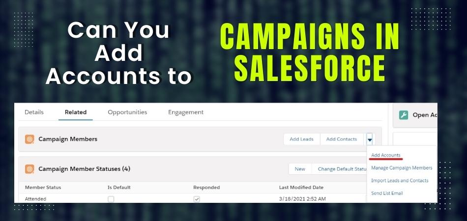 Can You Add Accounts to Campaigns in Salesforce?