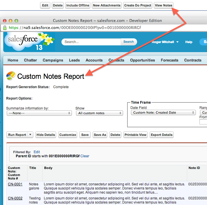 Can You Report on Notes in Salesforce