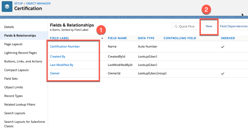 How Many Custom Fields Can Be Created in Salesforce?