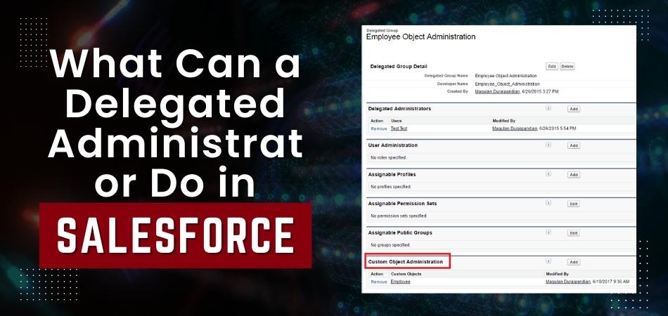 What Can a Delegated Administrator Do in Salesforce?