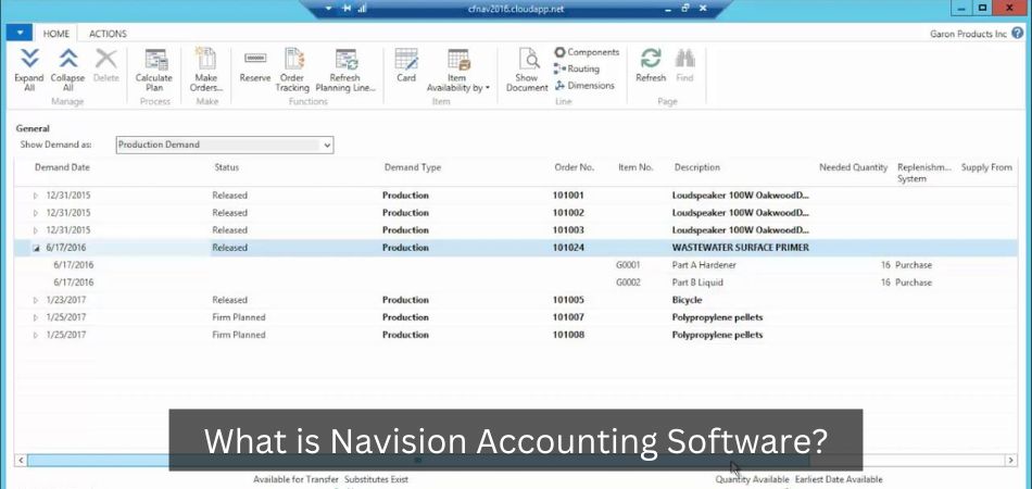 What is Navision Accounting Software