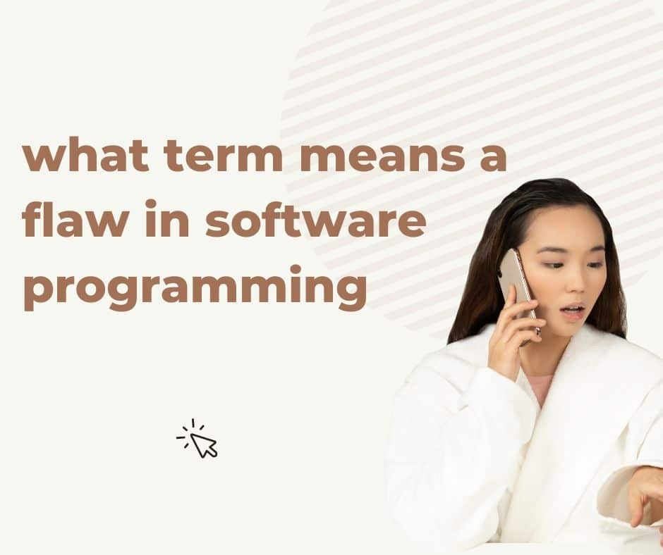 what term means a flaw in software programming